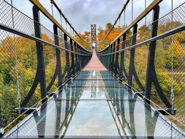glass bridges skybridge michigan